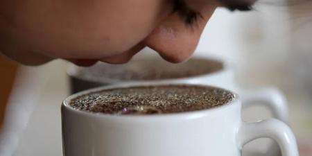 مفاجأة
      لعشاق
      القهوة..
      نجاح
      زراعة
      البُن
      في
      مصر
      "بعد
      تجارب
      استمرت
      40
      عامًا"