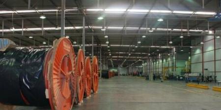 "الكابلات
      السعودية"
      توصي
      بزيادة
      رأس
      المال
      بطرح
      أسهم
      أولوية
      بـ400
      مليون
      ريال