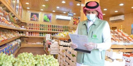 «بيئة الجوف» ينفذ 2100 زيارة تفتيشية و717 جولة رقابية في مارس - ترند نيوز