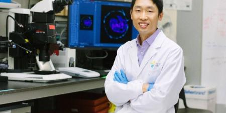 أبحاث الخلايا الجذعية في كاوست تساهم في تعزيز فهم مراحل النمو المبكر للإنسان - ترند نيوز