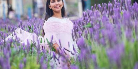 «نبات اللافندر» بالطائف.. يفتح آفاقا استثمارية وسياحية جديدة - ترند نيوز