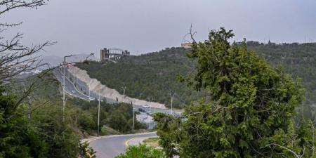 أشجار «العرعر» ثروة وطنية وملاذ آمن للحياة البرية في الباحة - ترند نيوز