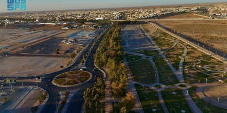 مضامير المشاة والحدائق العامة.. مرافق يرتادها الصائمون لتعزيز الصحة العامة - ترند نيوز