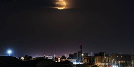 الحدود الشمالية.. تنوع حيوي ومراع طبيعية وسماء صافية ترسم مشهدا بيئيا فريدا في شمال المملكة - ترند نيوز