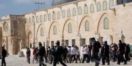 عشرات المستوطنين يقتحمون باحات المسجد الأقصى المبارك في حماية الشرطة