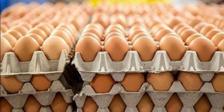 ارتفاع سعر كرتونة البيض 13 جنيها اليوم الإثنين في بورصة الدواجن