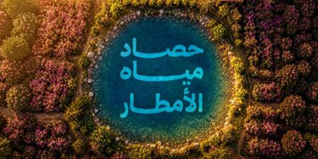 "مائي" يُطلق المرحلة الأولى لمشروع حصاد مياه الأمطار بالطائف - ترند نيوز