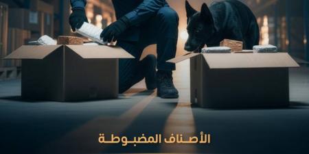 "المنافذ الجمركية" تسجل 1367 حالة ضبط خلال أسبوع - ترند نيوز