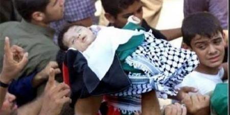 يونيسيف: مقتل 265 طفلا فلسطينيا في غزة منذ وقف إطلاق النار في أكتوبر 2025