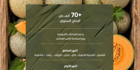بإنتاج يتجاوز 70.5 ألف طن.. الشمام المنتج محليا يغذي أسواق المملكة بأجود الأصناف - ترند نيوز