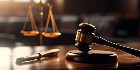 تأجيل محاكمة عاطل بتهمة هتك عرض طفلة في مدينة نصر لجلسة 30 يونيو