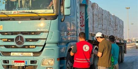 «زاد العزة 238» تنطلق إلى غزة، مصر تواصل إرسال المساعدات الإنسانية للأشقاء الفلسطينيين