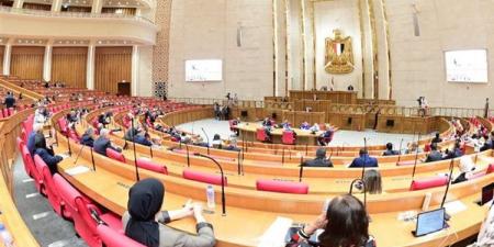 نائبة تطالب بعدم تفعيل قرار كليات الطب الجديدة على الطلاب الحاليين