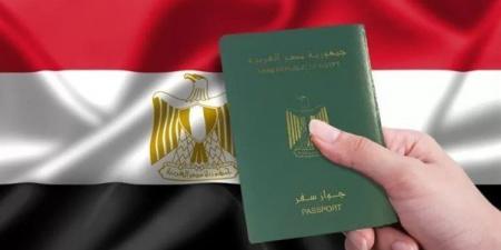 بالأسماء.. الداخلية تصدر قرارات بشأن الجنسية وإبعاد روسي وسوري خارج البلاد