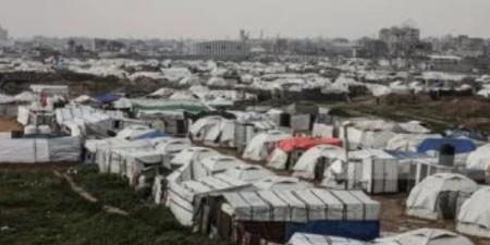 "حكومة غزة": نحتاج بشكل فورى إلى 500 ألف خيمة و"شادر" لإيواء النازحين