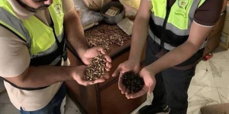 ضبط 600 كيلو بن مغشوش بنوى البلح ومنتهي الصلاحية في طنطا (صور)