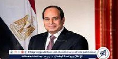 عاجل ـ السيسي يؤكد للعليمي ثوابت الموقف المصري: وحدة اليمن ودعم تسوية سياسية شاملة