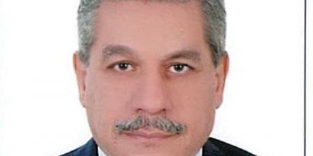 الدكتور أمين لطفي يكتب: التمكين المؤسسي للقطاع الخاص في الجمهورية الجديدة.. الداء والدواء
