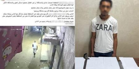 الذكاء الاصطناعي يكشف مفاجأة في واقعة بلطجة بالغربية.. ضبط المتهم وبحوزته أسلحة بيضاء