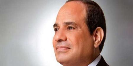 السيسي: إعادة بناء الدول بعد النزاعات مكون أصيل من منظومة السلم والأمن الأفريقي