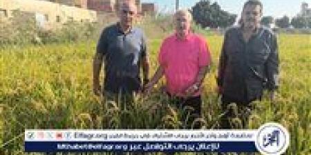 "زراعة عين شمس" تعزز قدراتها الإنتاجية والبحثية بمركز التجارب والبحوث بشلقان