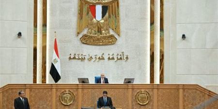 بعد فتح باب تعديل رغبات الانضمام، موعد إعادة تشكيل اللجان النوعية بمجلس الشيوخ