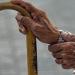 مصدر : تزايد نسبة كبار السن في الأردن عبر الأعوام القادمة