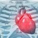 5 فيتامينات ضرورية لحماية القلب، ونقصها يسبب مضاعفات خطيرة