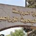 في عيد الفلاح الـ74، «البحوث الزراعية» يكشف لـ«فيتو» حصاد توطين التقاوى وتقليل الاستيراد