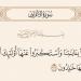 من خواطر الشعراوي، إمام الدعاة يكشف سبب تخليد هؤلاء البشر في النار (فيديو)
