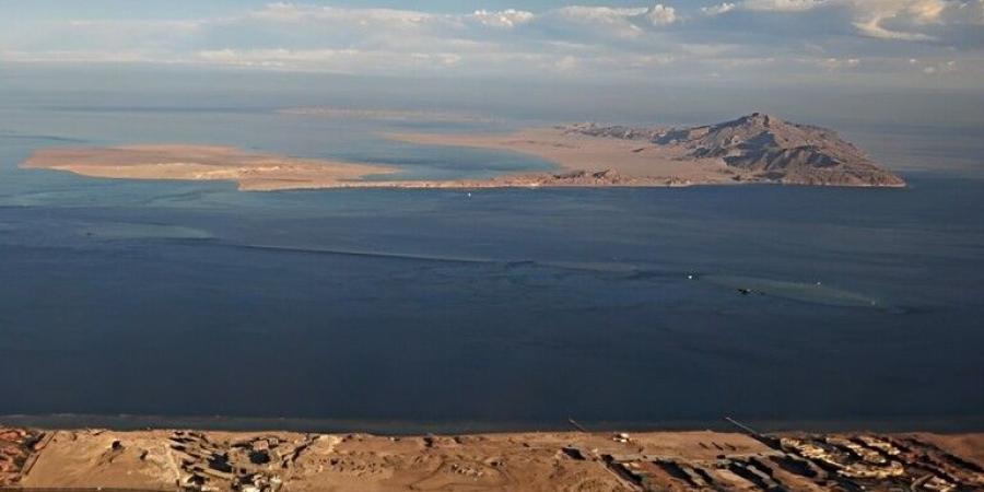 رأس
      جميلة
      على
      طريق
      رأس
      الحكمة
      ..
      قطاع
      الأعمل
      يطرح
      المنطقة
      للاستثمار