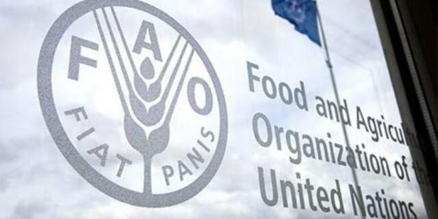 "الفاو"
      تكشف
      أسباب
      عدم
      تأثر
      أسعار
      السلع
      بارتفاع
      كلف
      الشحن