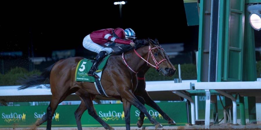 المملكة تستضيف النسخة السابعة من كأس السعودية بمشاركة نخبة خيل العالم