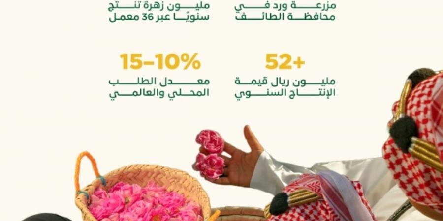 «ريف السعودية»: قطاع الورد يسجل نموا بأكثر من 15% سنويا - ترند نيوز