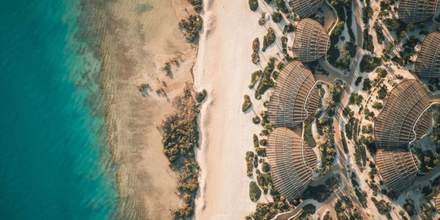 جزيرة شورى" تستقطب العائلات بعروض وتجارب مميزة - ترند نيوز