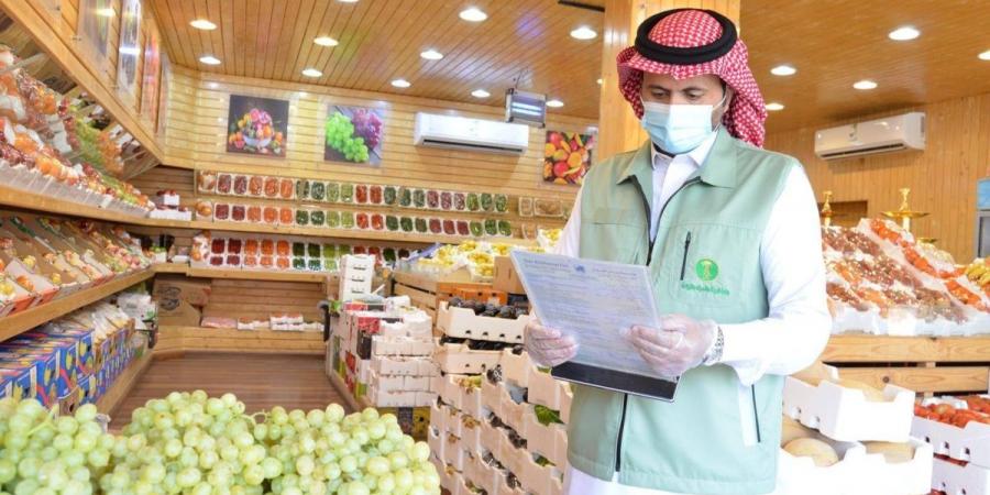 «بيئة الجوف» ينفذ 2100 زيارة تفتيشية و717 جولة رقابية في مارس - ترند نيوز