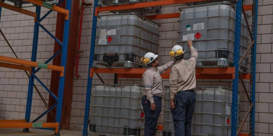 «الالتزام البيئي»: مشروع «الإفصاح الطوعي» يلغي المخالفات ويحد من الأضرار البيئية - ترند نيوز