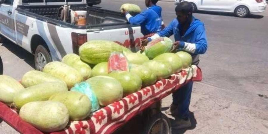 أمانة جدة تضبط 2.8 كجم خضروات وتُصادر بسطات مخالفة بنطاق العزيزية - ترند نيوز