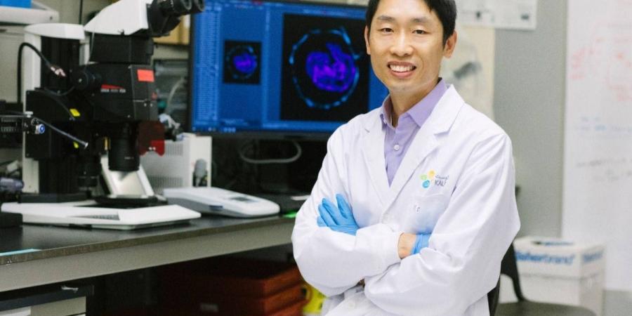 أبحاث الخلايا الجذعية في كاوست تساهم في تعزيز فهم مراحل النمو المبكر للإنسان - ترند نيوز