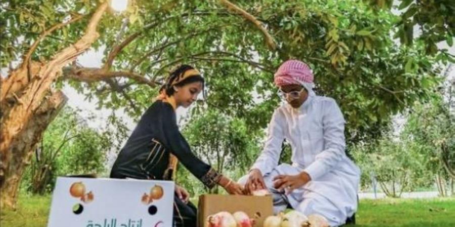 مزارع «رمان الباحة».. إنتاج وفير وفرص تسويق واعدة - ترند نيوز