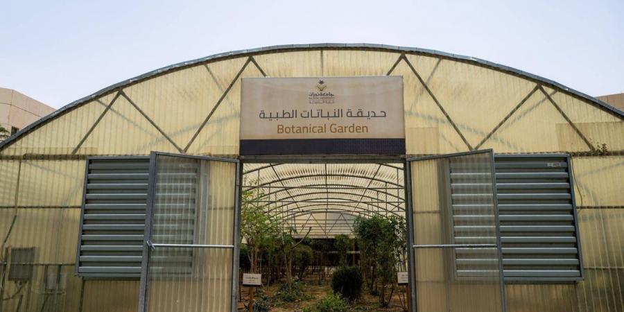 حديقة النباتات الطبية بجامعة نجران.. مبادرة تعزز التعليم والبحث العلمي - ترند نيوز
