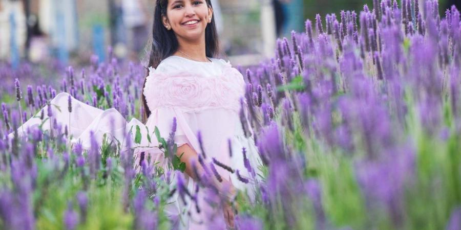 «نبات اللافندر» بالطائف.. يفتح آفاقا استثمارية وسياحية جديدة - ترند نيوز