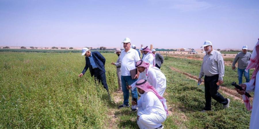 «استدامة» ينظم يوما حقليا بعنوان «الأعلاف الموسمية: إنتاجية المحاصيل والتطبيقات الحقلية» - ترند نيوز