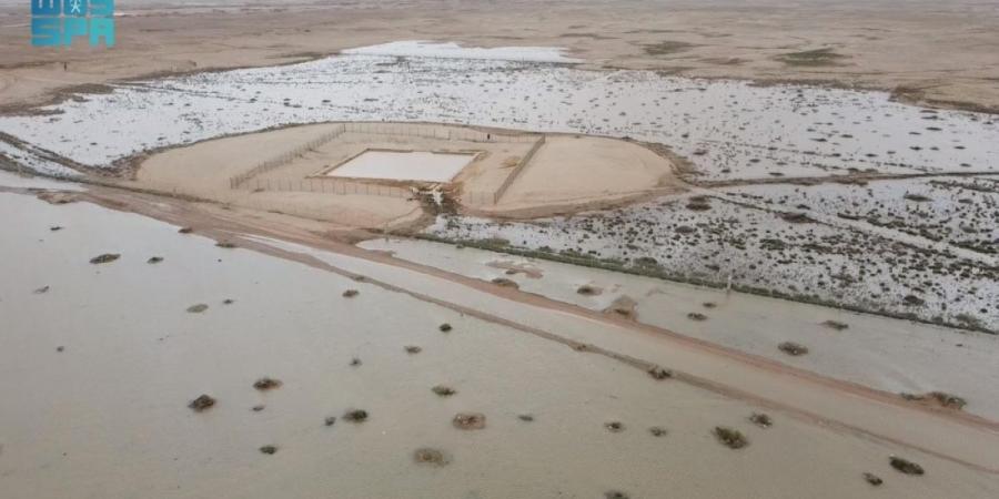 امتلاء «بركة الجميما» يحيي إرث درب زبيدة 
في مشهد مائي استثنائي - ترند نيوز