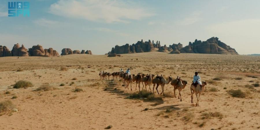 طريق الحج الشامي قديما.. 
رحلة إيمانية بين مسارات ومحطات متنوعة - ترند نيوز