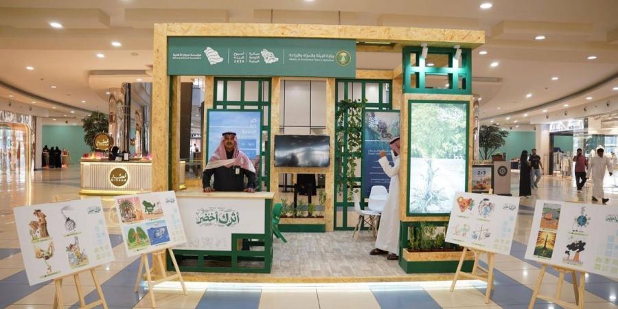 35 موقعا في جازان تحتضن فعاليات أسبوع البيئة لترسيخ «الأثر الأخضر» - ترند نيوز