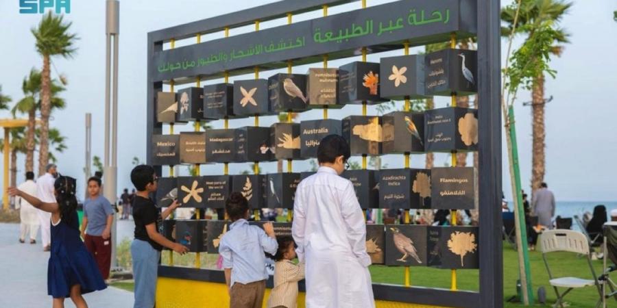 واجهة الخبر تتألق بمشروع «تراس الخبر».. تجربة متكاملة تجمع الترفيه والاسترخاء - ترند نيوز