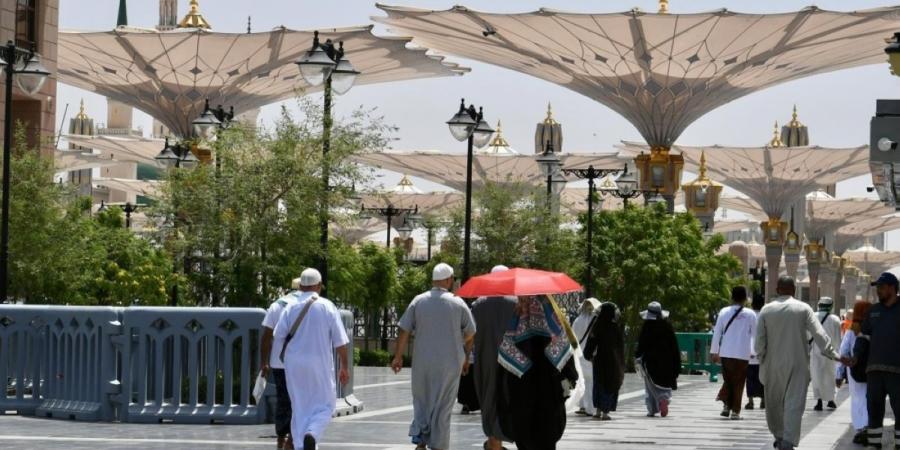 جهود تنظيمية وإرشادية تواكب توافد الحجاج إلى المسجد النبوي - ترند نيوز