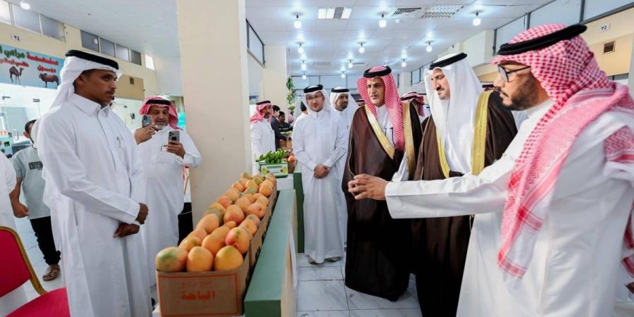انطلاق مهرجان المانجو الثالث بالمخواة - ترند نيوز