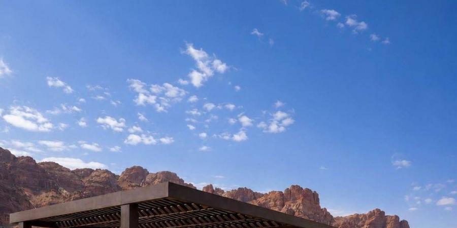 هيئة العلا تطبق الدليل التنظيمي لمظلات مواقف السيارات وتفعل اللوائح الرقابية - ترند نيوز